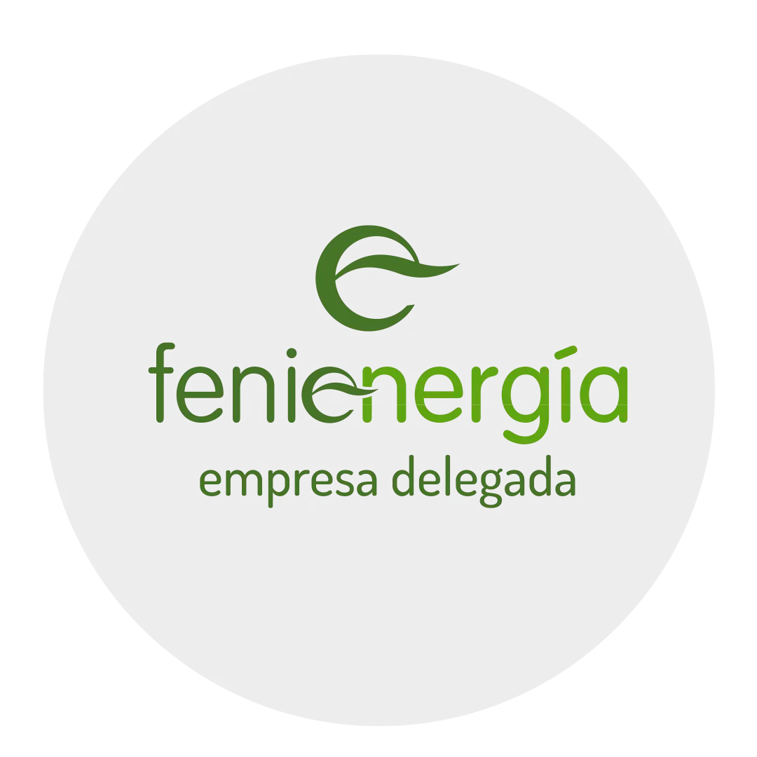 fenie-energía empresa delegada-1